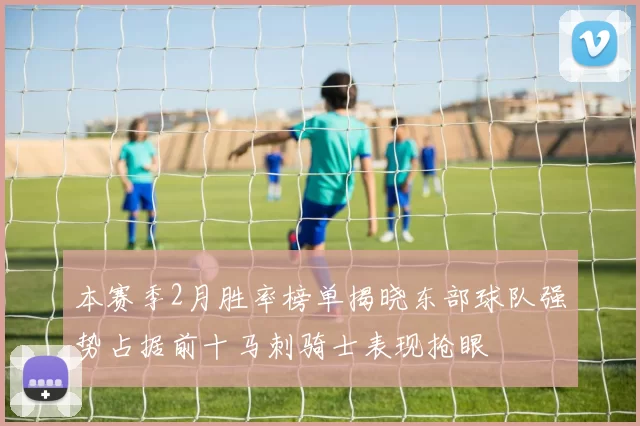 本赛季2月胜率榜单揭晓东部球队强势占据前十马刺骑士表现抢眼